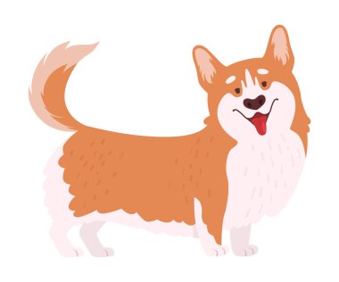 Kısa bacaklı Galli Corgi Kahverengi Ceketli Ayakta Poz Vektörü İllüstrasyonu