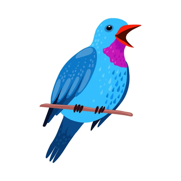 Pássaro Tropical com Penas Brilhantes Sentado na Árvore Branch Vector Ilustração — Vetor de Stock