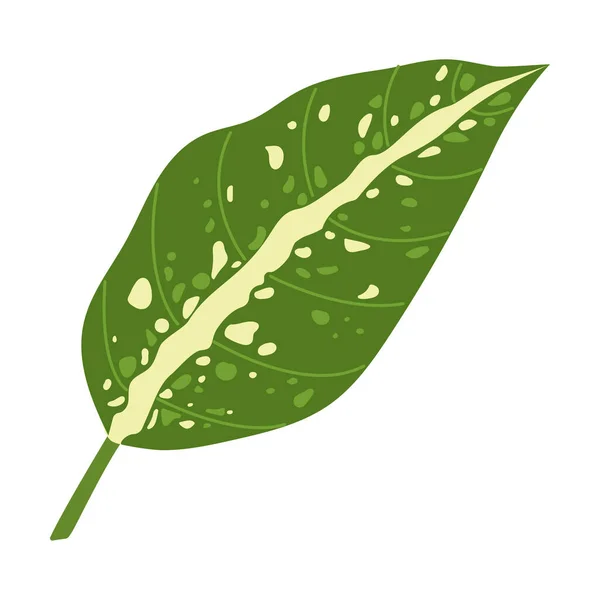 Tropisches Blatt am Stamm als exotische Pflanzenvektorillustration — Stockvektor