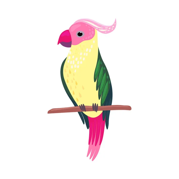 Tropische Vogel met Heldere Veren Zittend op Boom Tak Vector Illustratie — Stockvector
