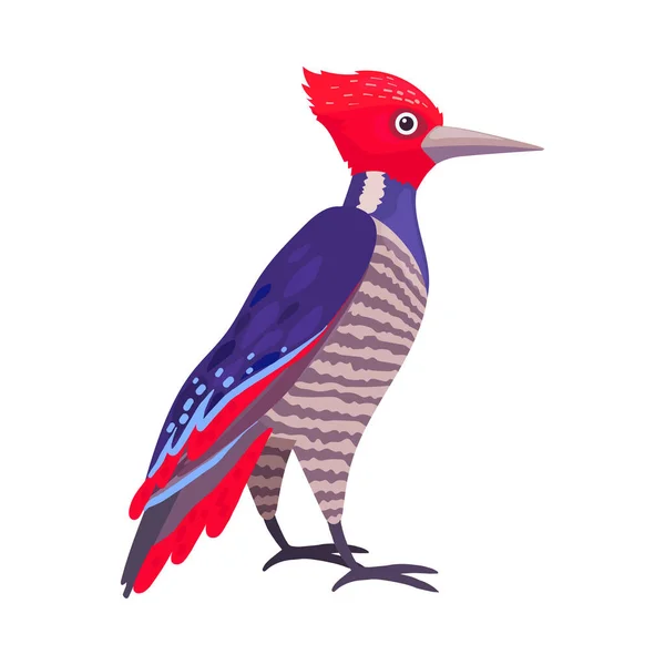 Pássaro tropical com penas brilhantes como vertebrados de sangue quente ou ilustração vetorial da Aves — Vetor de Stock