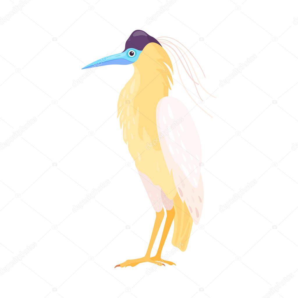 Tropical Bird with Bright Feathers as Warm-blooded Vertebrates or Aves Vector Illustration