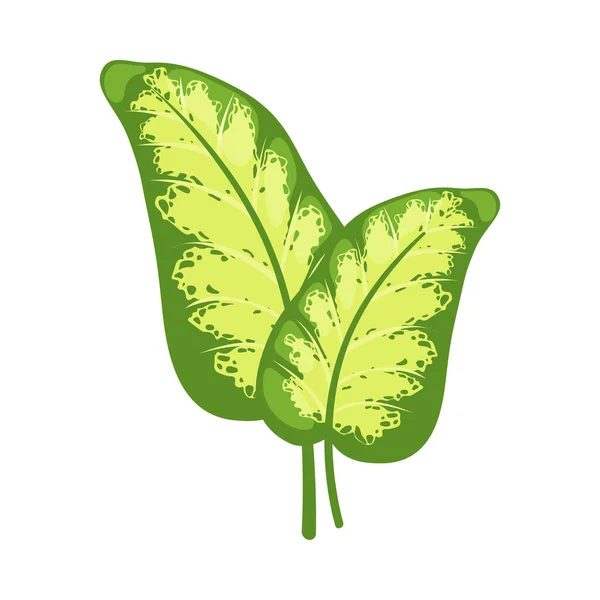 エキゾチックな花のベクトルイラストとして茎の熱帯の葉 — ストックベクタ