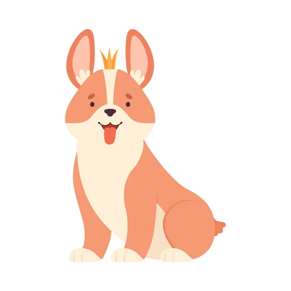 Welsh Corgi with Crown on Its Head in Sitting Pose Vector Illustration — Stock Vector