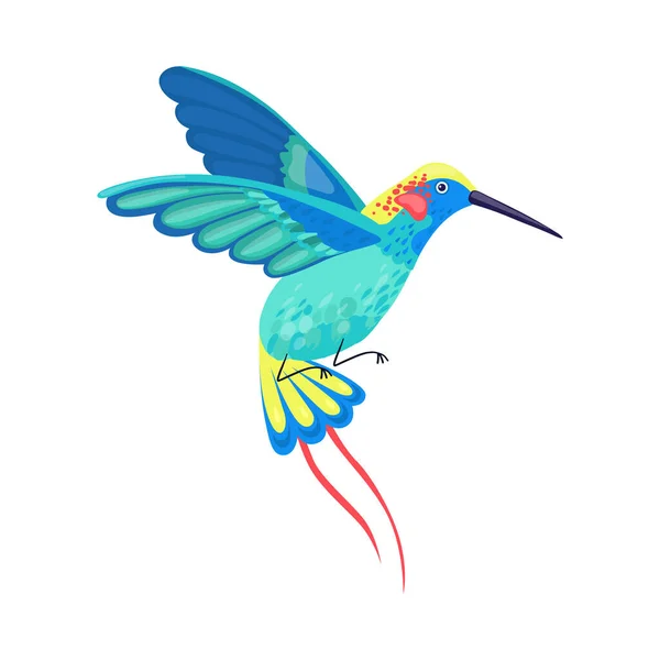 Hummingbird con piume luminose Hovering Vector Illustrazione — Vettoriale Stock