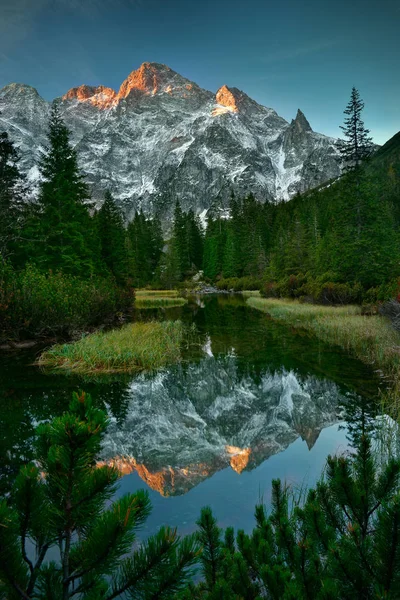 Balık akarsu deniz eye yakınındaki mornig görünümü. Tatra mountain Polonya
