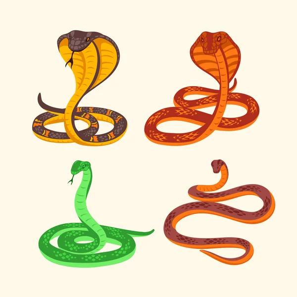 Ensemble Illustration Vectorielle Prédateur Venin Serpent — Image vectorielle