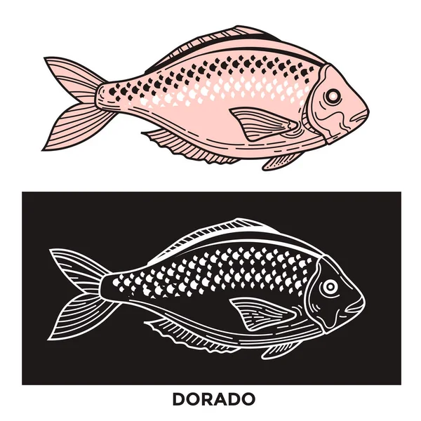 多拉多鱼图解与细节笔触和线条风格 — 图库矢量图片