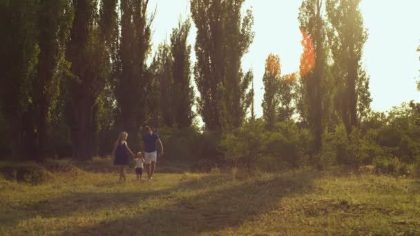 Familia caminando en el parque al atardecer — Vídeo de stock