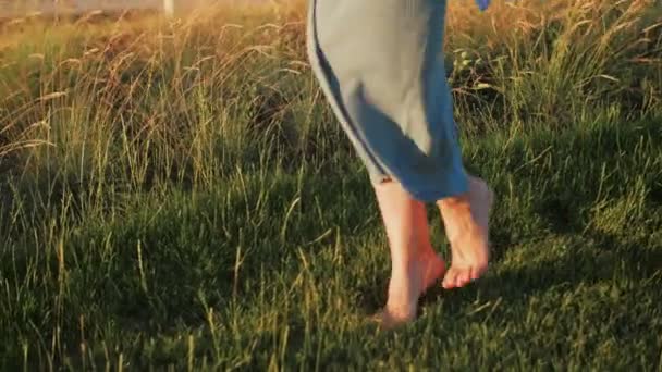 Yazın uzun çimenlerde yürüyen çıplak ayaklı genç bir kadın. — Stok video