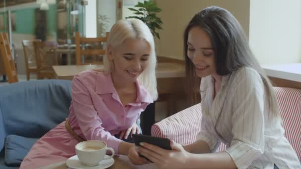Студенти коледжу навчаються в кафе дві дівчини друзі навчаються разом — стокове відео