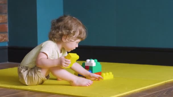 Lockig flicka gör konstruktion av leksak tegelstenar — Stockvideo