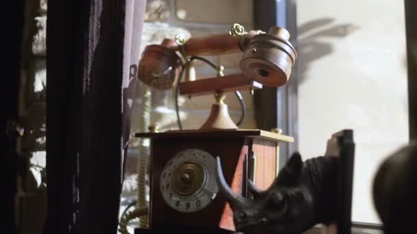 Vintage téléphone brun et statue de rhinocéros 