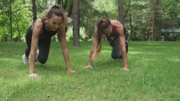 Due Giovani Belle Donne Stanno Facendo Esercizio Plancia Nel Parco — Video Stock