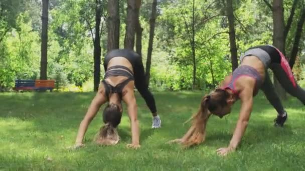 Dwie dziewczyny robi jogi Pose dół stoi psa — Wideo stockowe