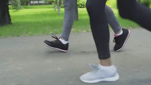 Close Up Of Athletic Female Legs Running At Park Road — Stock Video