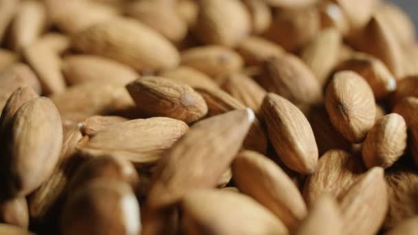 Amandes Macro Afficher les détails — Video