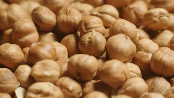 Macro of Peeled hazelnut kernels — Stock Video