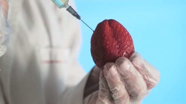 Férfi tudós kezek fecskendővel befecskendező anyagot Strawberry — Stock videók