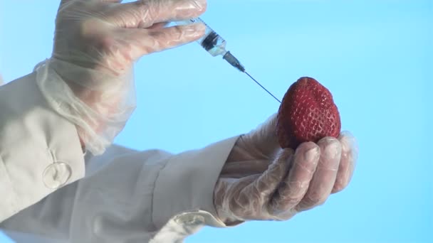 Mężczyzna naukowiec ręce ze strzykawką wstrzyknięcie substancji do truskawki — Wideo stockowe