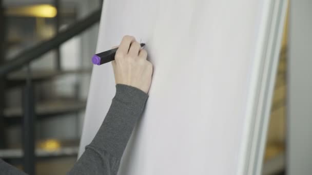 Zakelijke vrouw zet zijn ideeën op het witte bord tijdens een presentatie in de vergaderzaal. — Stockvideo