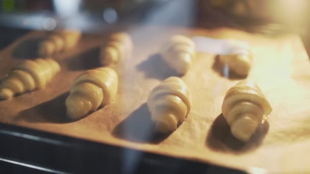 Zeitraffer-Video vom Croissants-Backen im Ofen — Stockvideo