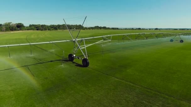 Zicht vanuit de lucht op grasveld en sproeier voor irrigatie — Stockvideo