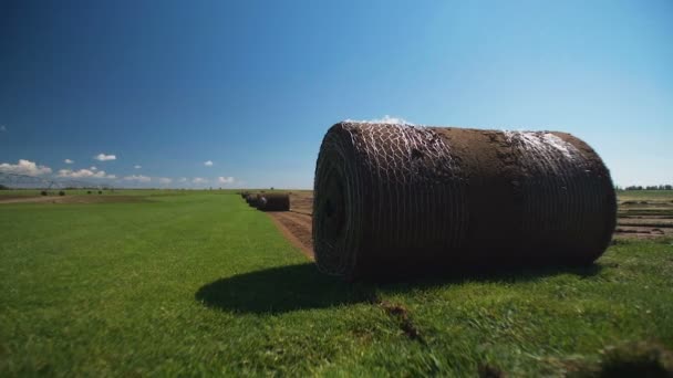 Na louce ležel složený trávník. Roll Lawn na poli — Stock video