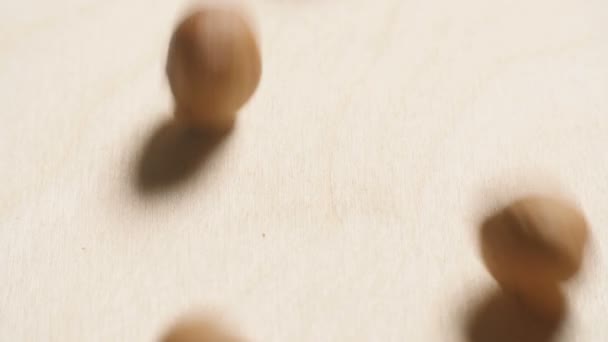 Peeled hazelnut kernels Rolling down — Stock Video