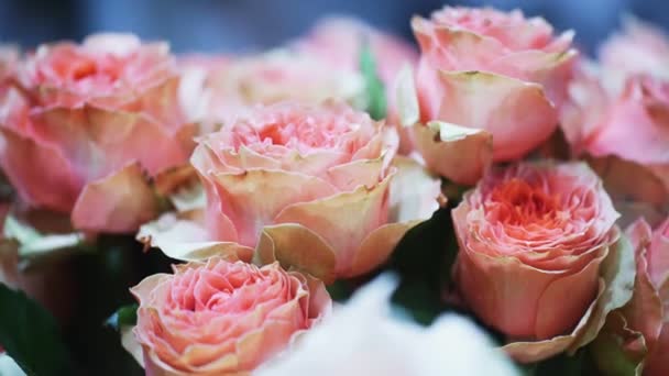 Vue rapprochée du beau bouquet de roses roses. — Video