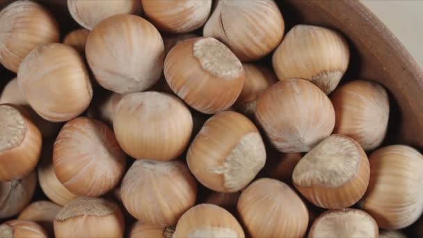 Hazelnut closeup in wooden bowl — Stock Video