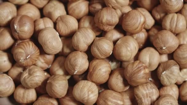 Peeled hazelnut rotating closeup in wooden bowl — Stock Video