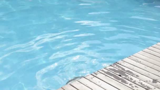 Senhora sexy em swimsuitm sai da piscina — Vídeo de Stock