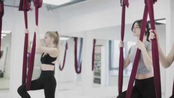 Las mujeres jóvenes están entrenando en la hamaca de la tela en estudio . — Vídeos de Stock