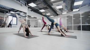 Kadınlar köpeğe doğru eğiliyor, Adho Mukha Svanasana yoga stüdyosunda minderlerin üzerinde.