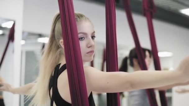 Junge Frauen praktizieren Aerogravitations-Yoga im Studio. — Stockvideo