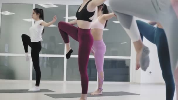 Beautiful young women standing in yoga pose tree asana — Stock Video