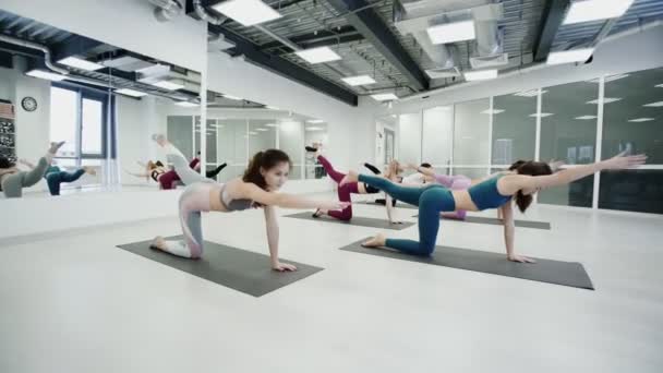 Unga smala kvinnor som gör yoga poserar — Stockvideo