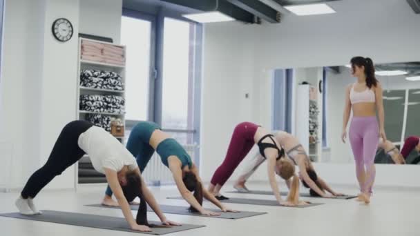 Concepto de clase de ejercicio de práctica de yoga. Entrenador ayuda a estudiante con la práctica de la pose de guerrero Virabhadrasana — Vídeos de Stock