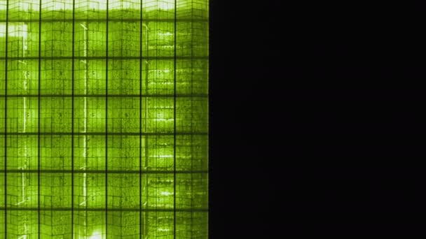 Vue de dessus d'une grande serre avec des concombres à hauteur 