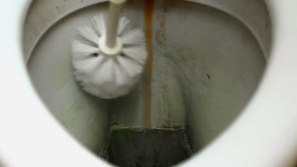 Pulizia toilette molto sporca con detergente liquido e spazzola — Video Stock