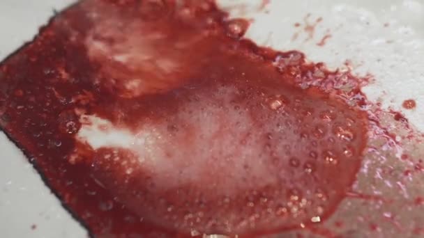 Schimmel sanering in huis. Huisvrouw verwijdert rode vlekken veroorzaakt door schimmel en schimmel — Stockvideo