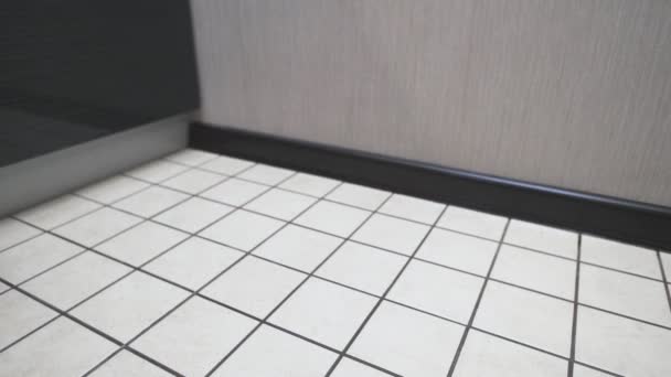 Chinchilla gris joue sur carrelage blanc dans la cuisine — Video