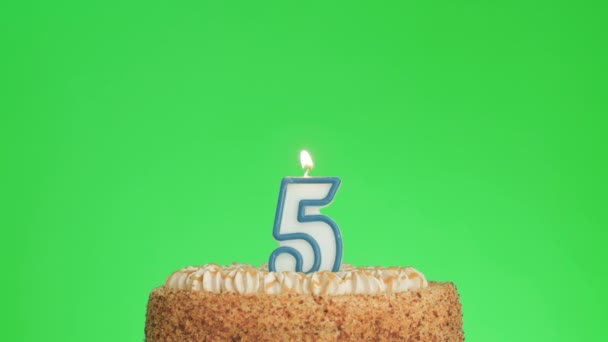 Encendiendo una vela de cumpleaños número cinco en un delicioso pastel, pantalla verde 5 — Vídeos de Stock