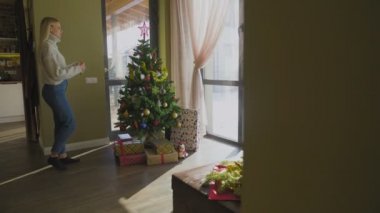 Kazaklı ve kot pantolonlu bir kadın Noel ağacını evde toplarla süslüyor..