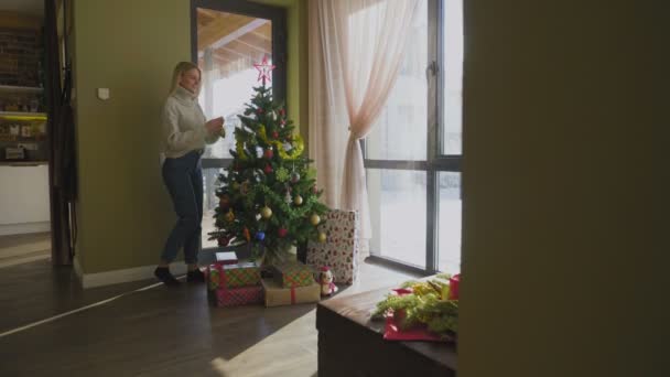 Linda chica decorando árbol de Navidad con bolas de colores y golpes — Vídeos de Stock