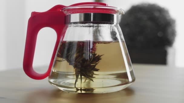 Cam çaydanlıkta çiçek açan geleneksel Çin çiçeği çayı. — Stok video