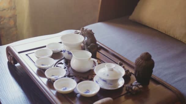 Klassisch chinesische Teezeremonie mit Käfer — Stockvideo