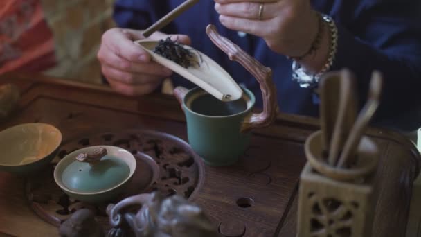 Man häller grönt te till tekanna vid traditionell kinesisk te ceremoni — Stockvideo