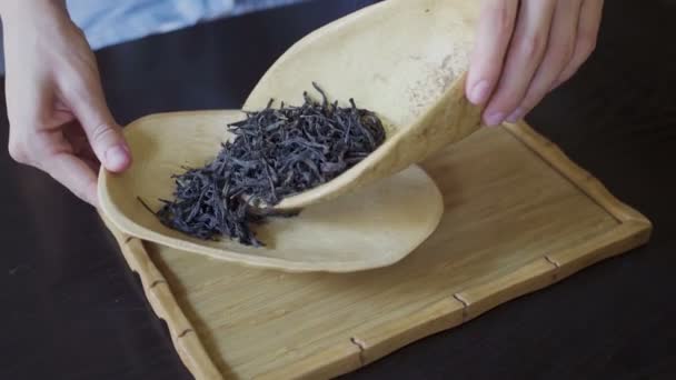 伝統的な中国茶の準備 — ストック動画